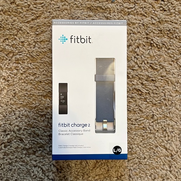 Fitbit 2 Wristband Charge Large Clips Arm Wristbands